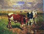 unknow artist Young bulls at a watering place USA oil painting artist